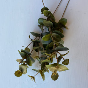 Eukalyptusoksa 40 cm