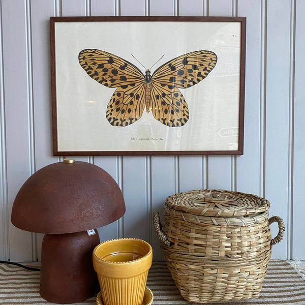 Julisteet 35*50 cm