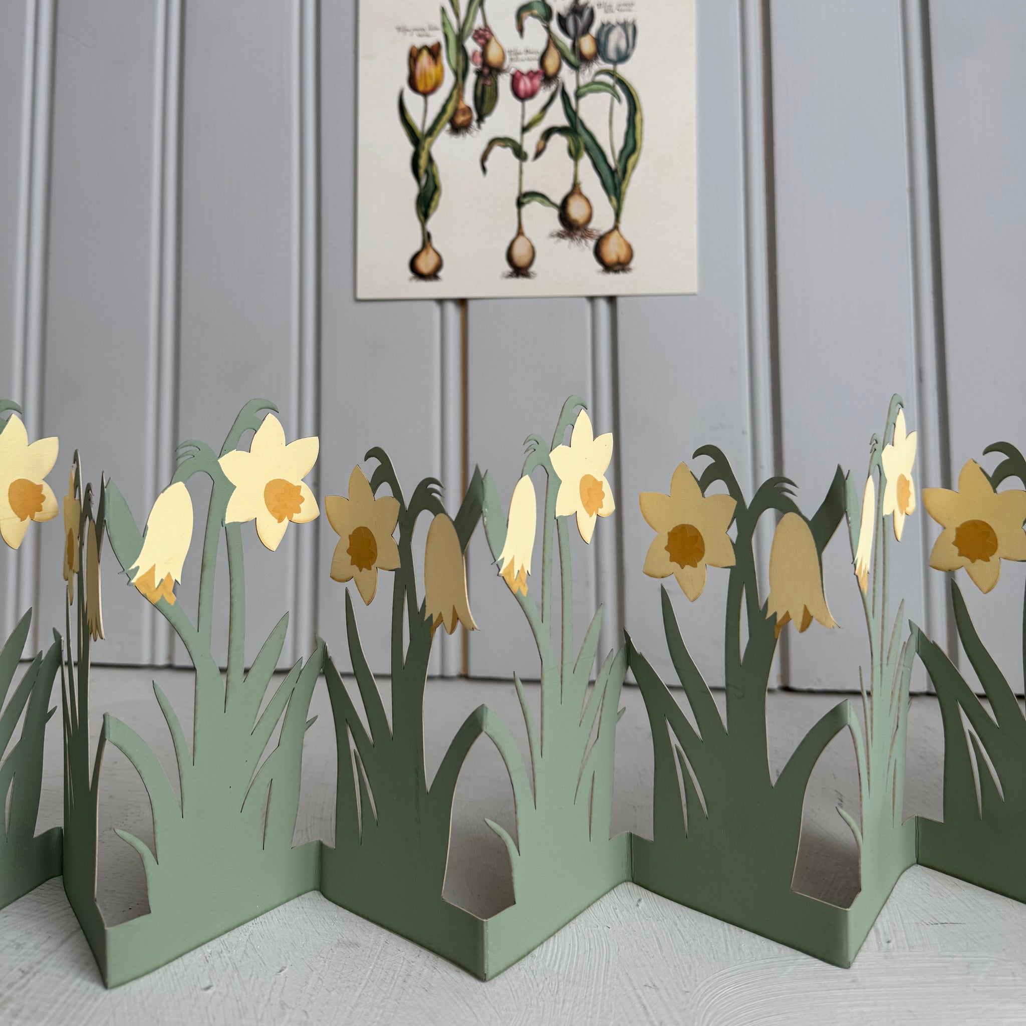 Koristenauha, narsissi