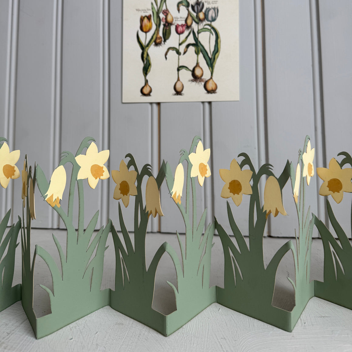 Koristenauha, narsissi