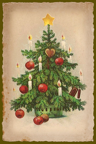 Kortti 10*15, joulukuusi
