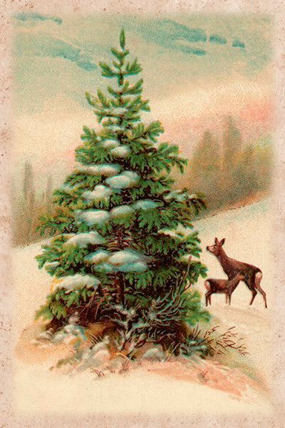 Kortti 10*15, peurat