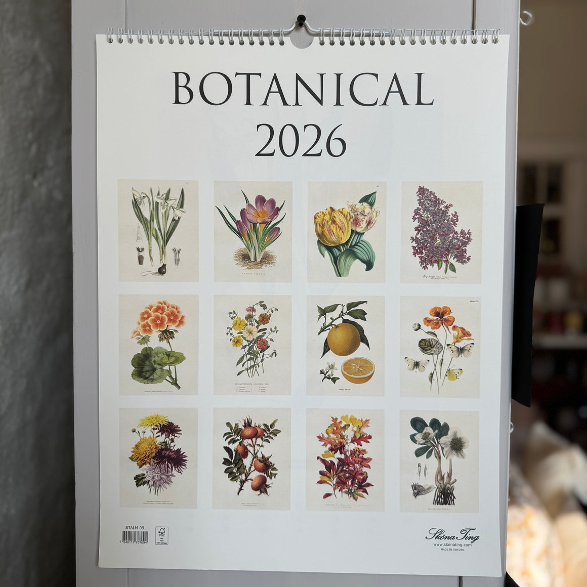Seinäkalenteri 2026, Botanical