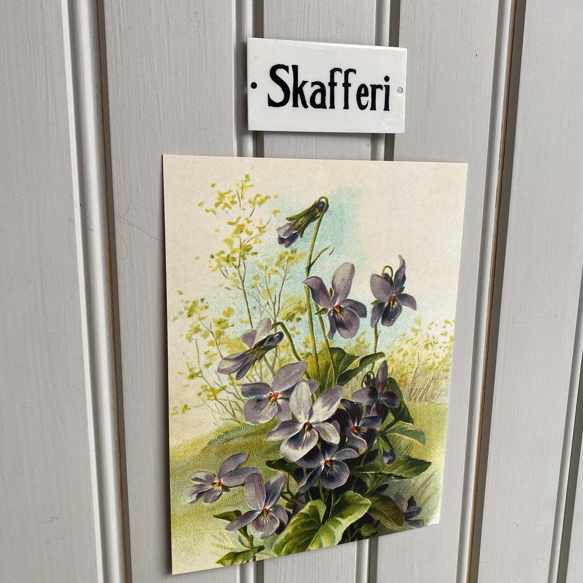 Posteri 18*24, metsäorvokki