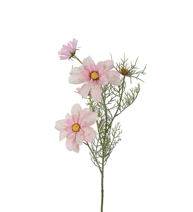 Punakosmoskukka 65 cm