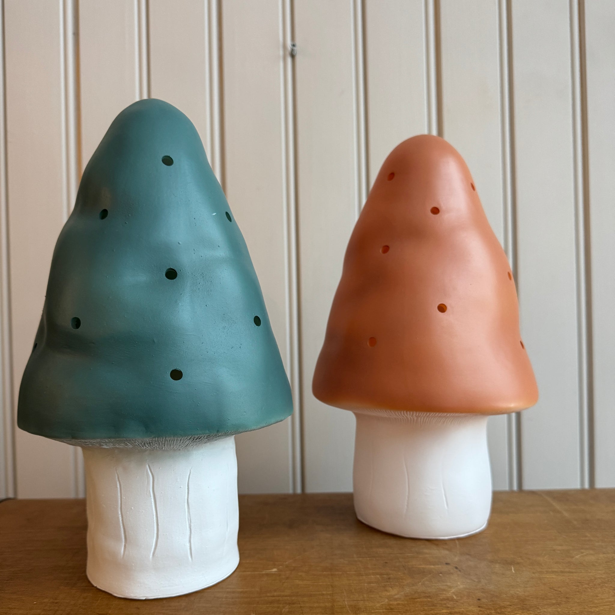 Sienivalaisin, eri värejä