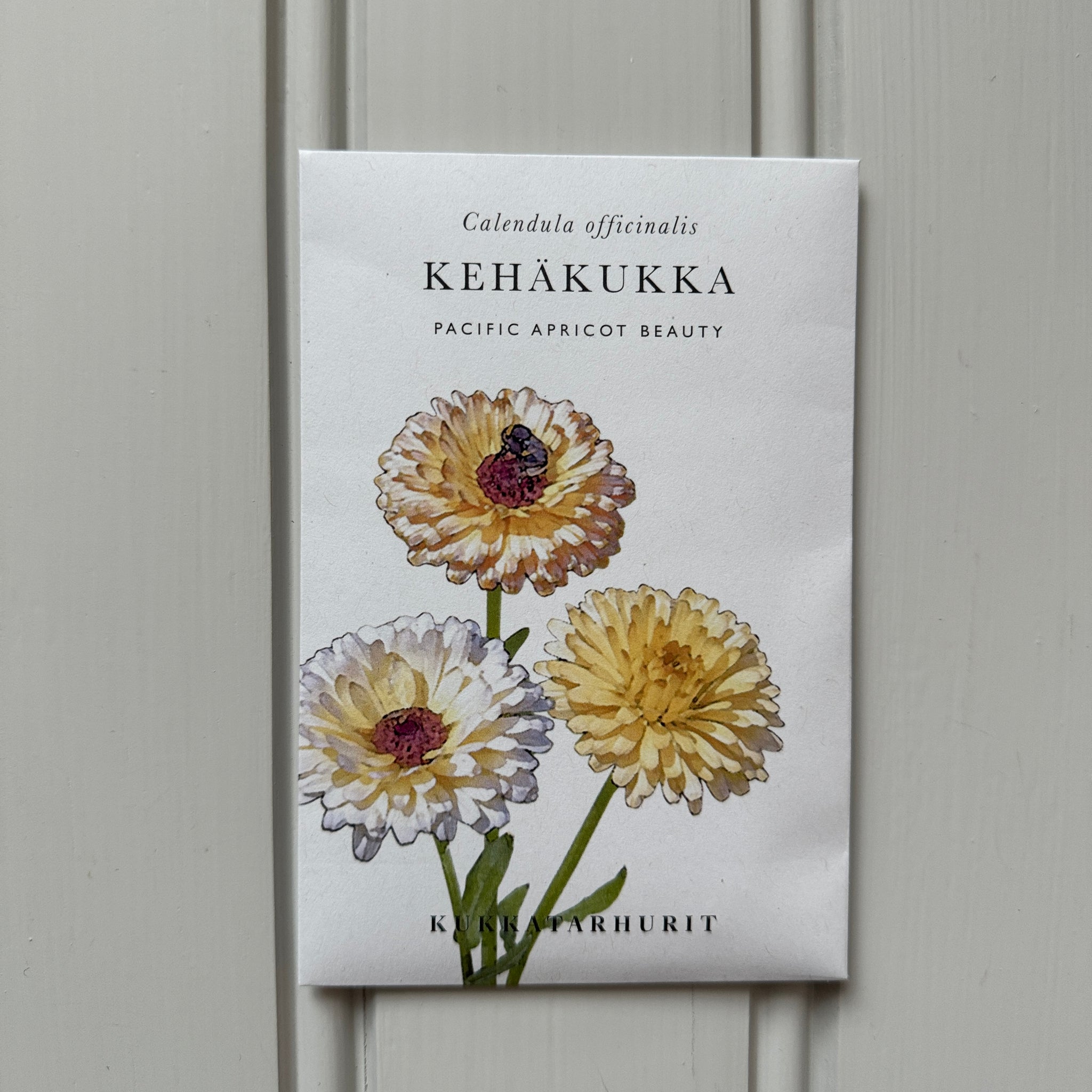 Kehäkukka, Pacific Apricot Beauty - Sarustiikka