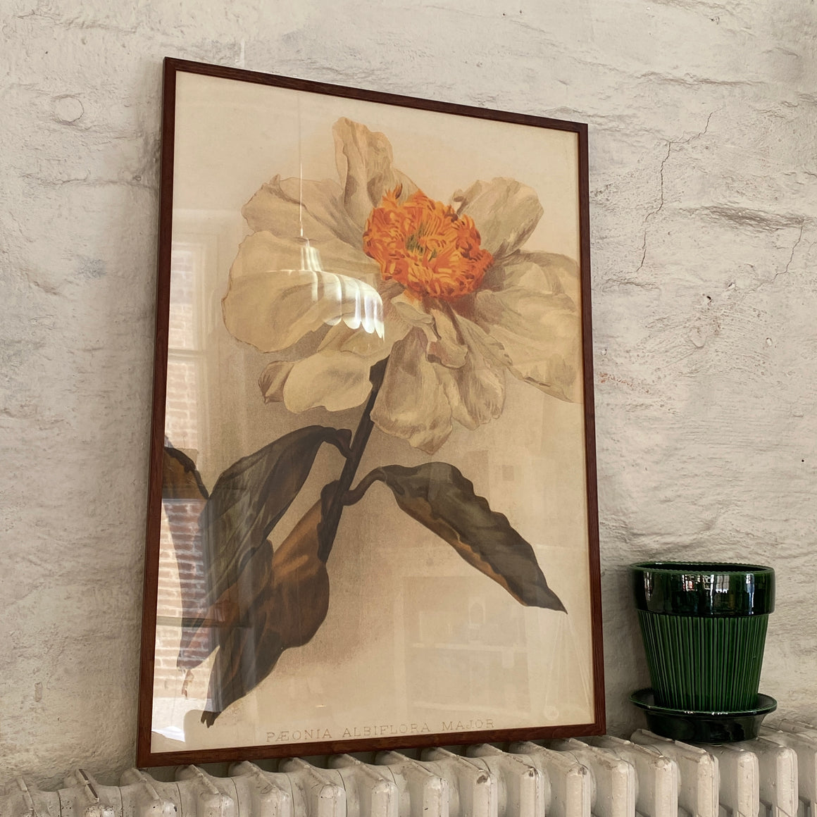 Juliste 50*70, pioni