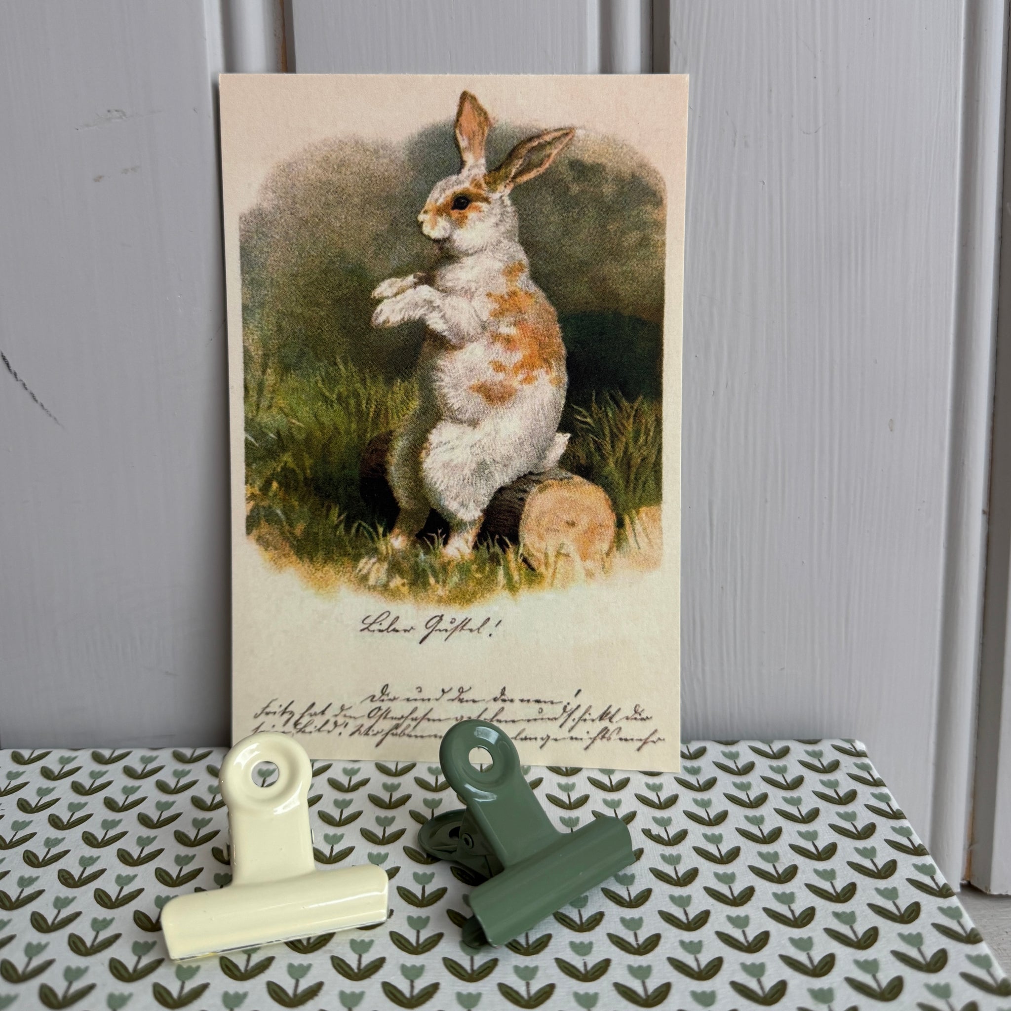 Kortti 10*15, pääsiäispupu