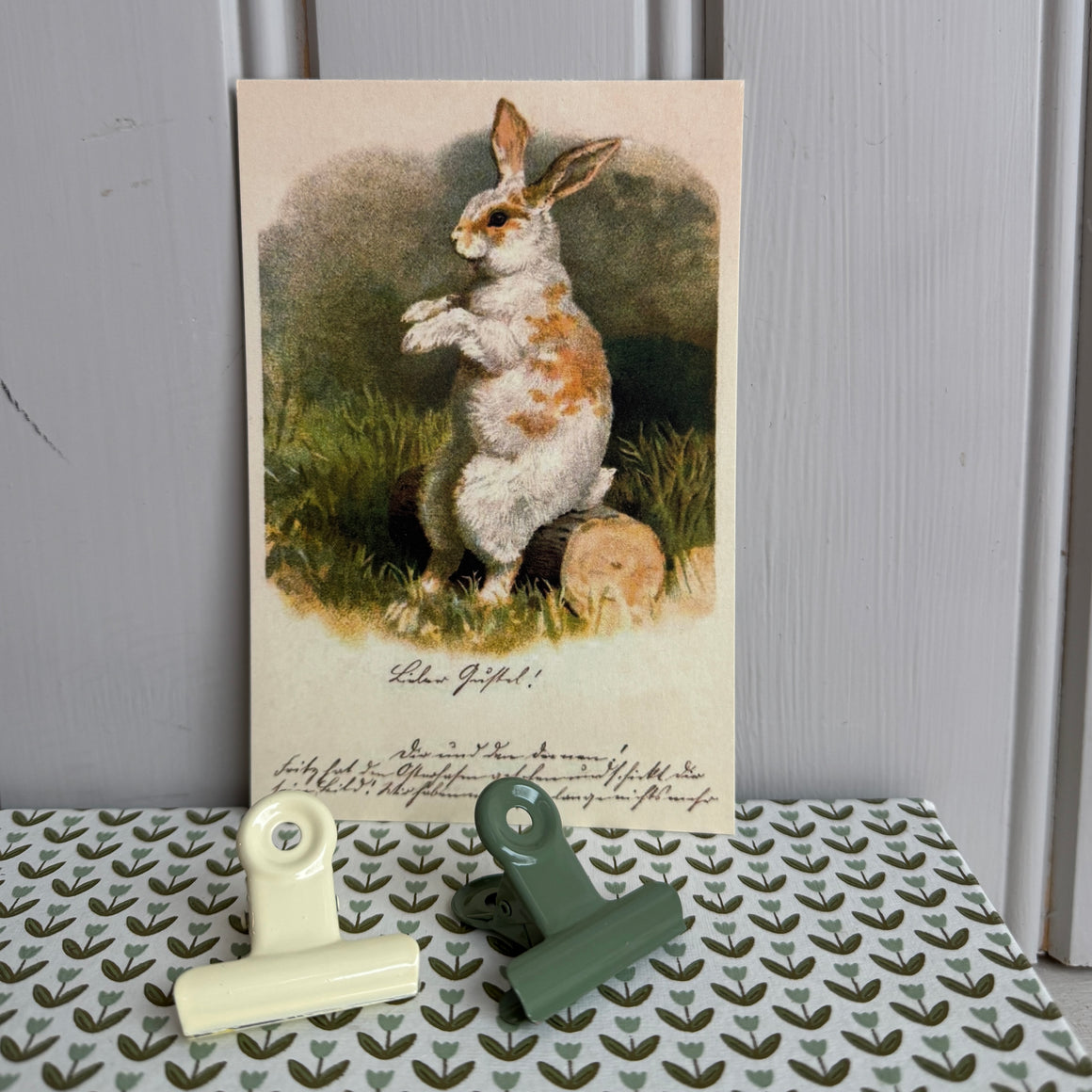 Kortti 10*15, pääsiäispupu