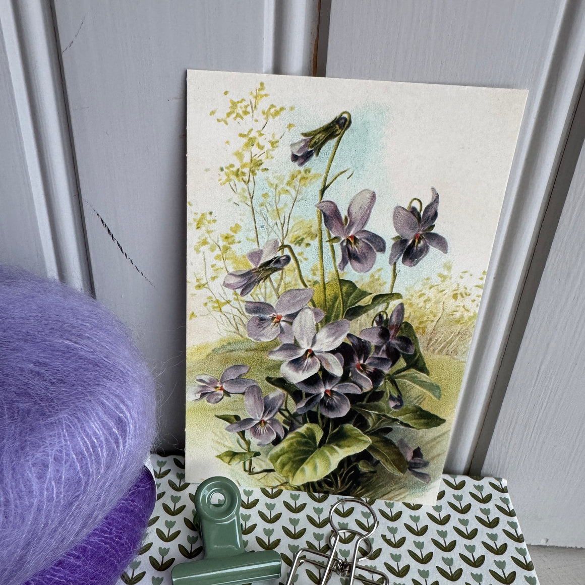 Kortti 10*15, metsäorvokki