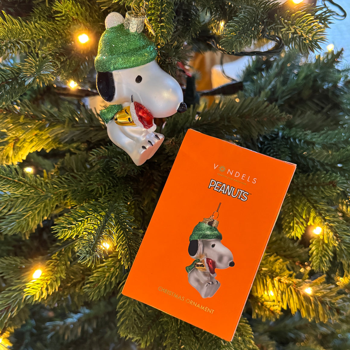 Lasikoriste, Snoopy ja Kaustinen