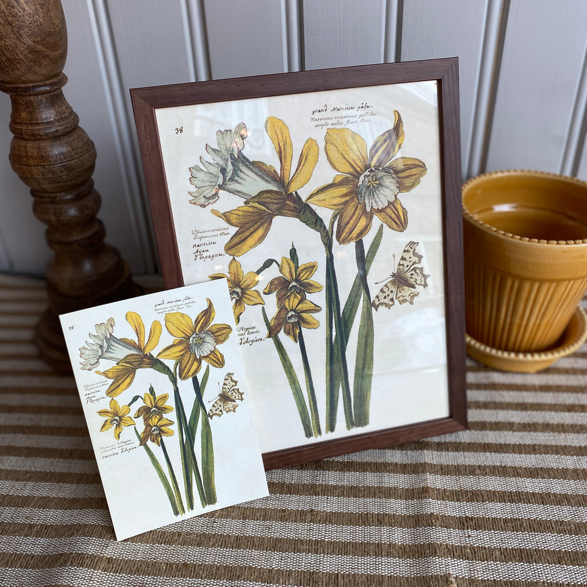 Kortti 10*15, narsissit