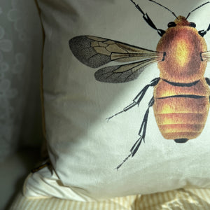 Tyynynpäällinen 50*50, Bee