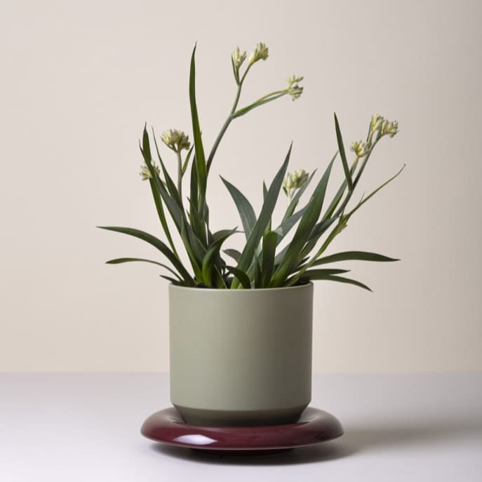 Lily-ruukku 18 cm, kolme väriä