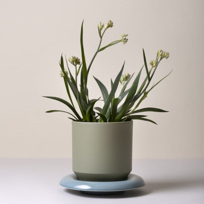 Lily-ruukku 18 cm, kolme väriä