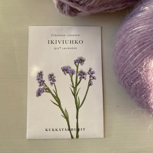 Ikiviuhko, Qis lavender