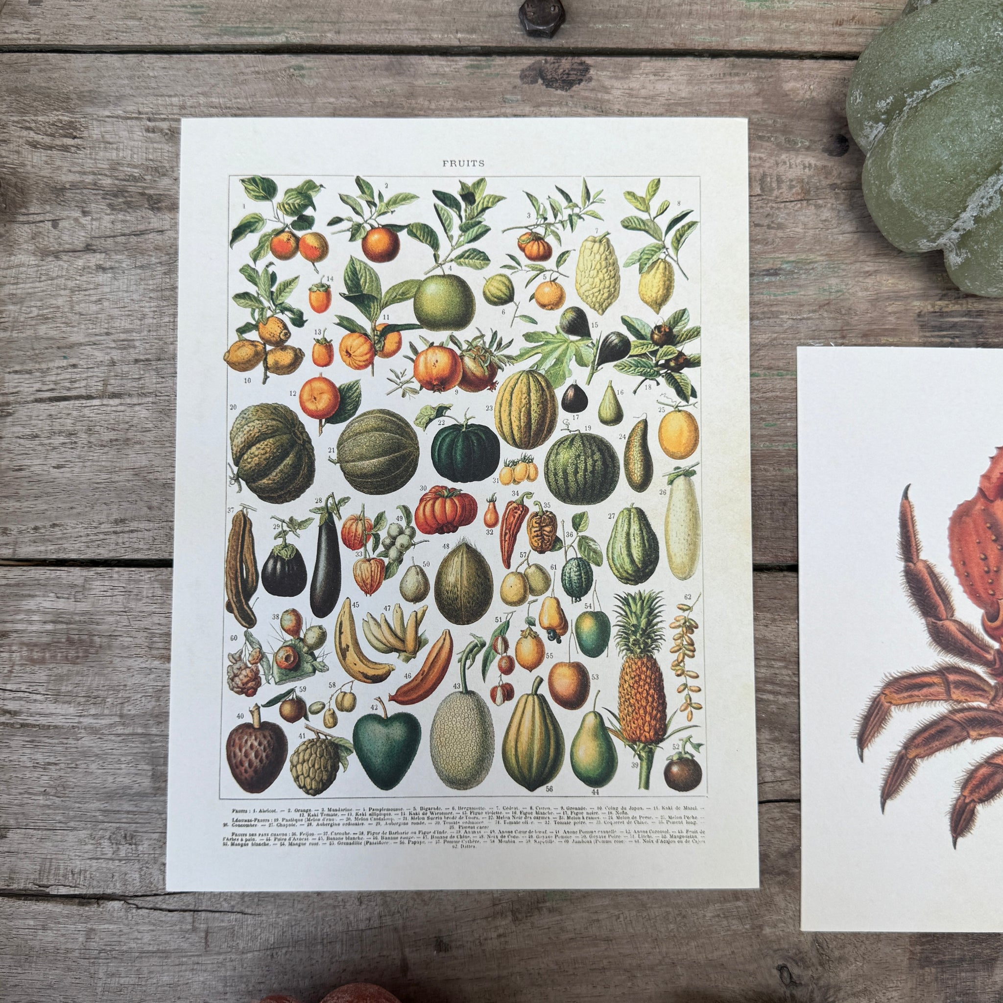 Posteri 18*24, vihannekset