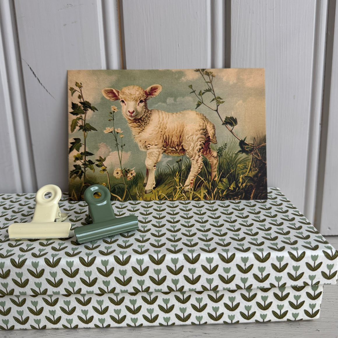 Kortti 15*10, karitsa