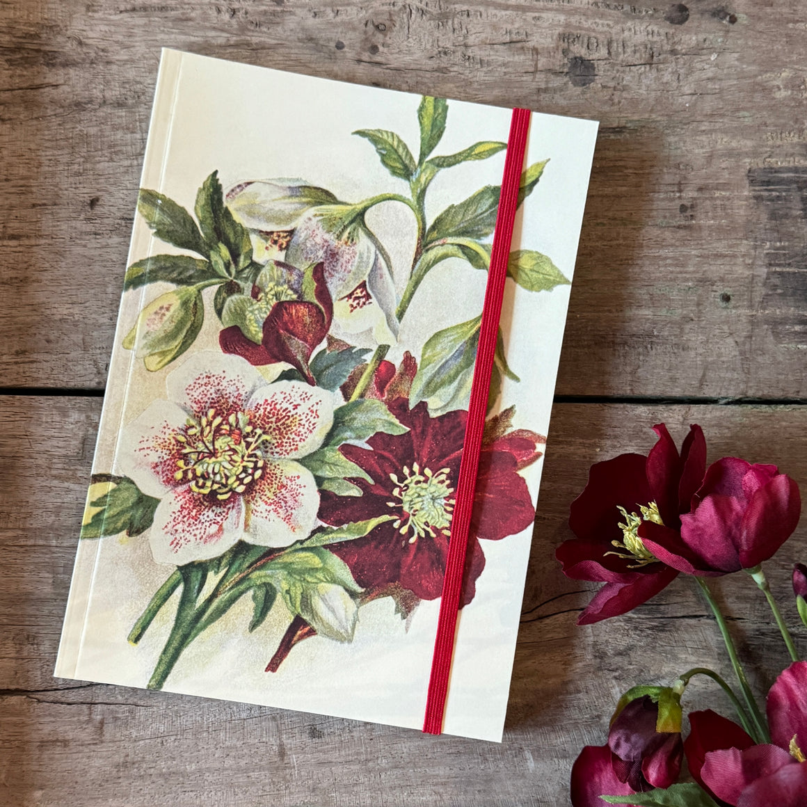 Vihko A5, jouluruusu