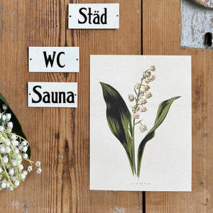 Posteri 18*24, kielo