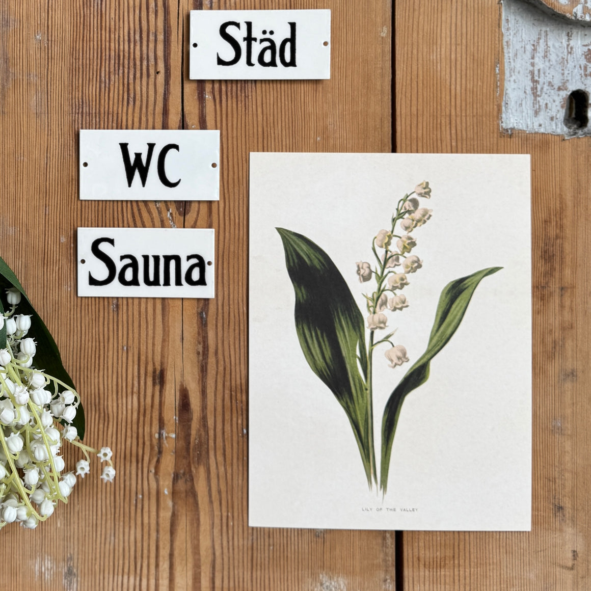 Posteri 18*24, kielo