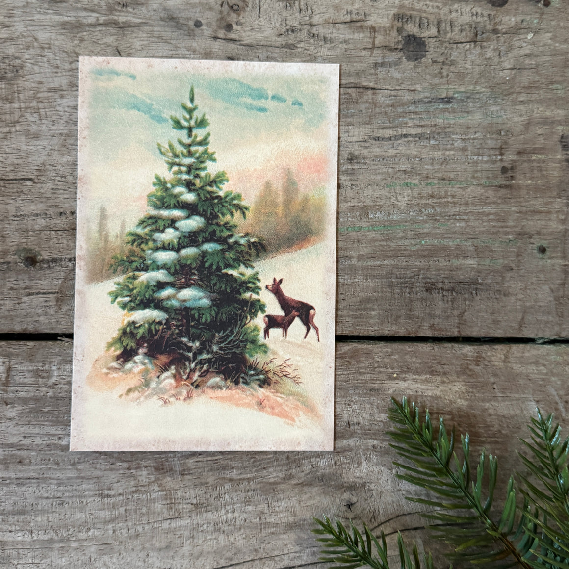 Kortti 10*15, peurat