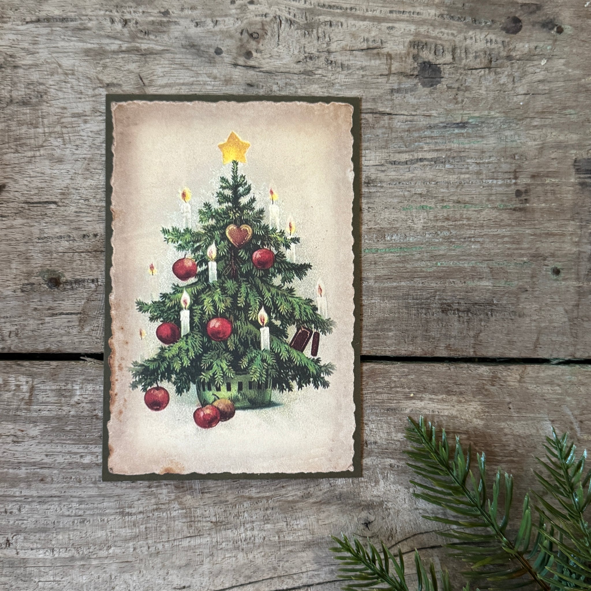 Kortti 10*15, joulukuusi