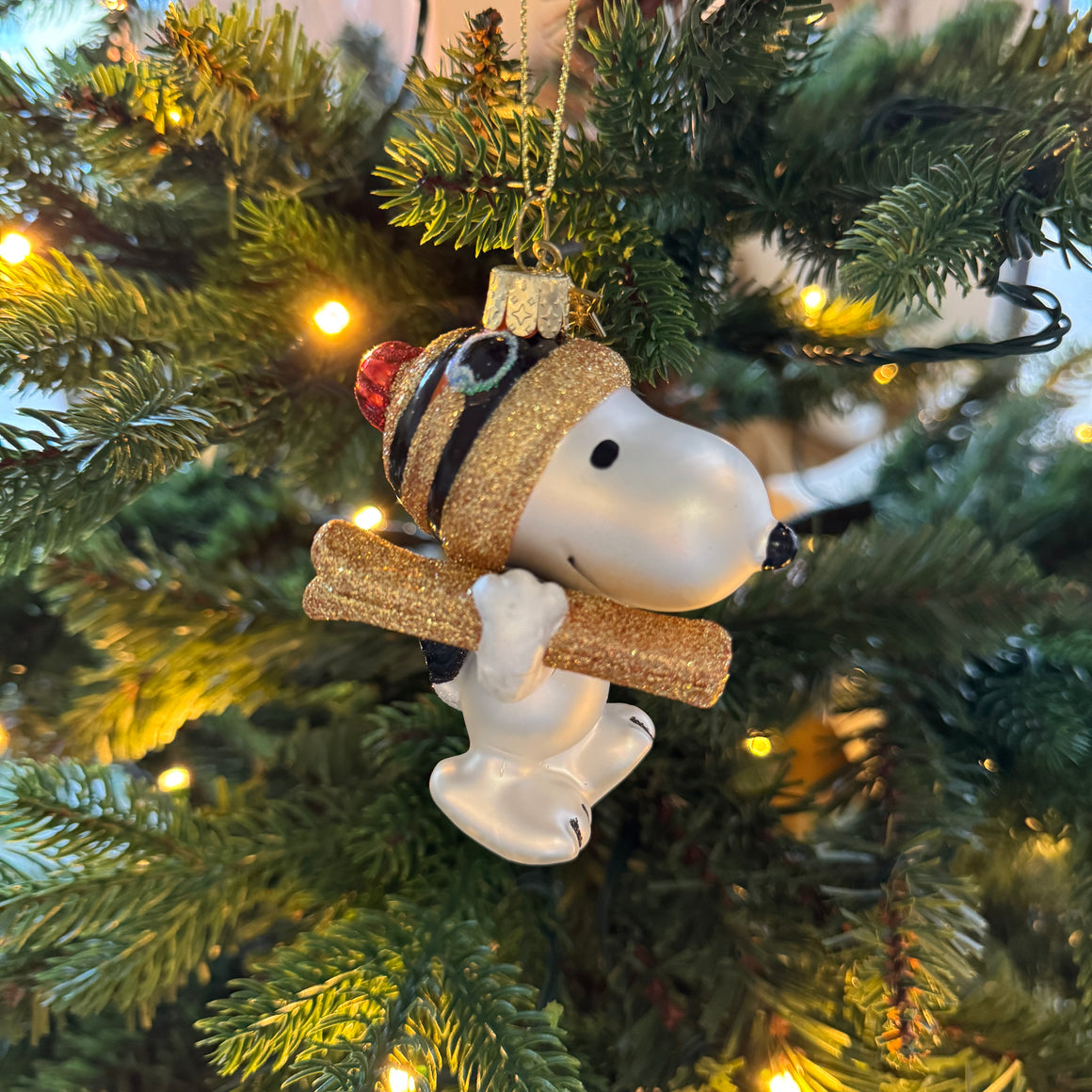 Lasikoriste, Snoopy laskettelusuksilla