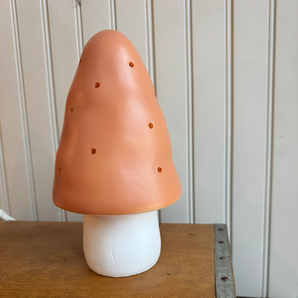 Sienivalaisin, eri värejä