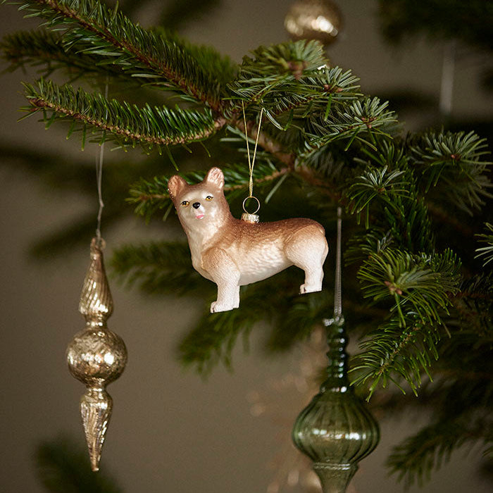 Joulukoriste, Corgi