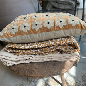 Tyynynpäällinen, samettikukka konjakki