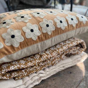 Tyynynpäällinen, samettikukka konjakki