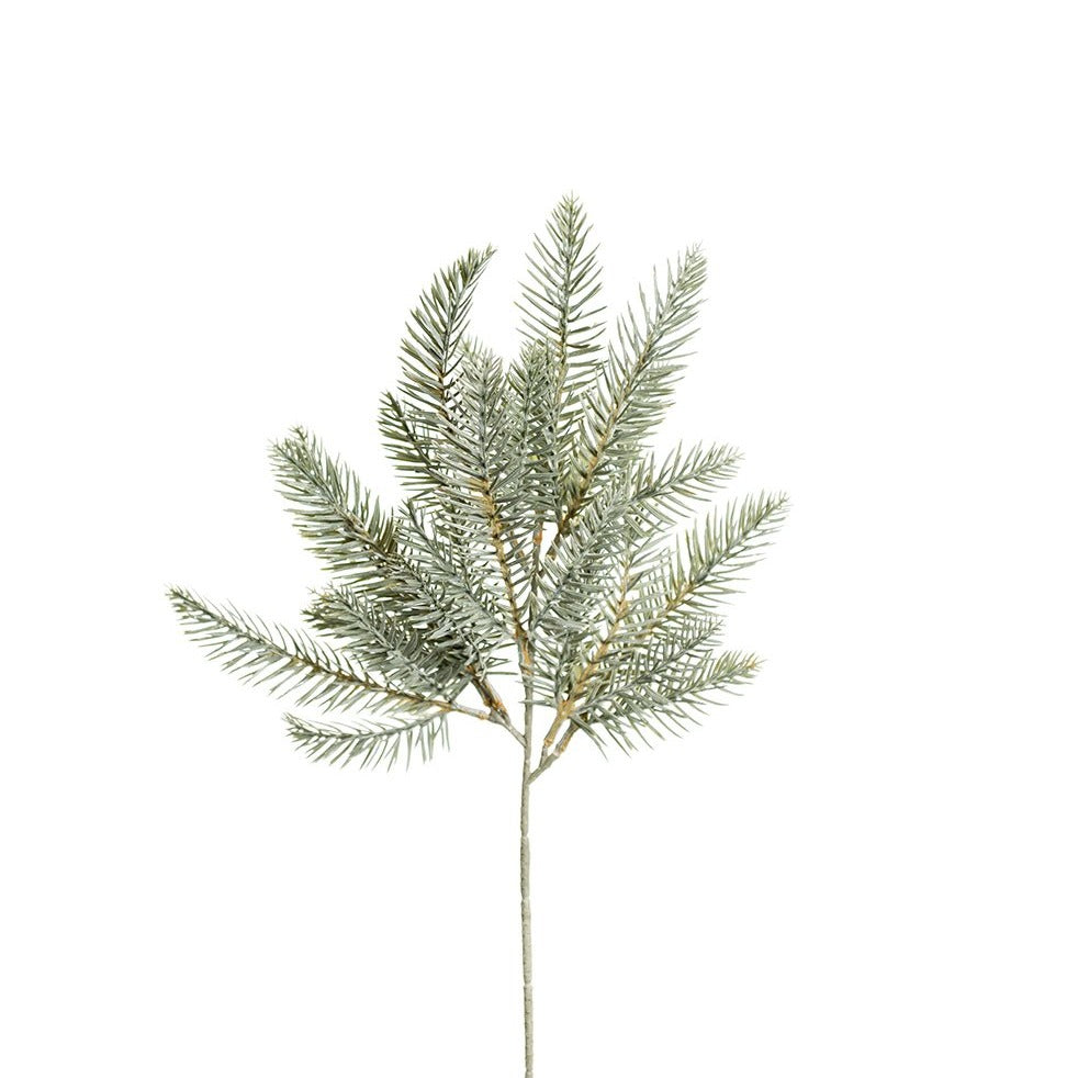 Havuoksa, huurteinen