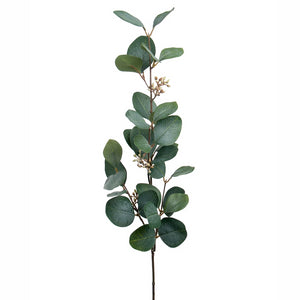 Eukalyptusoksa