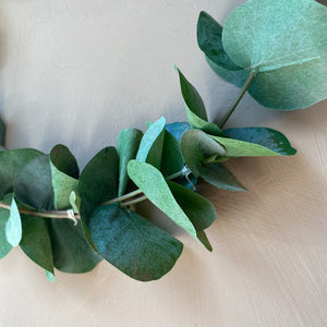 Kranssi, eukalyptus